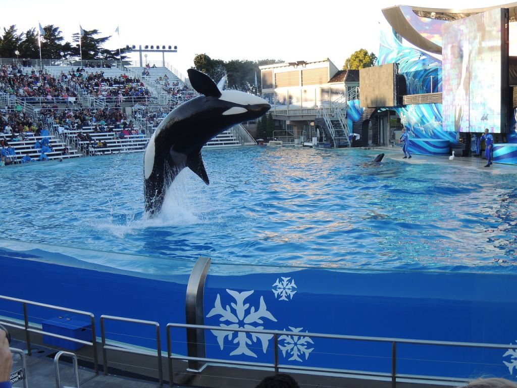 SeaWorld San Diego