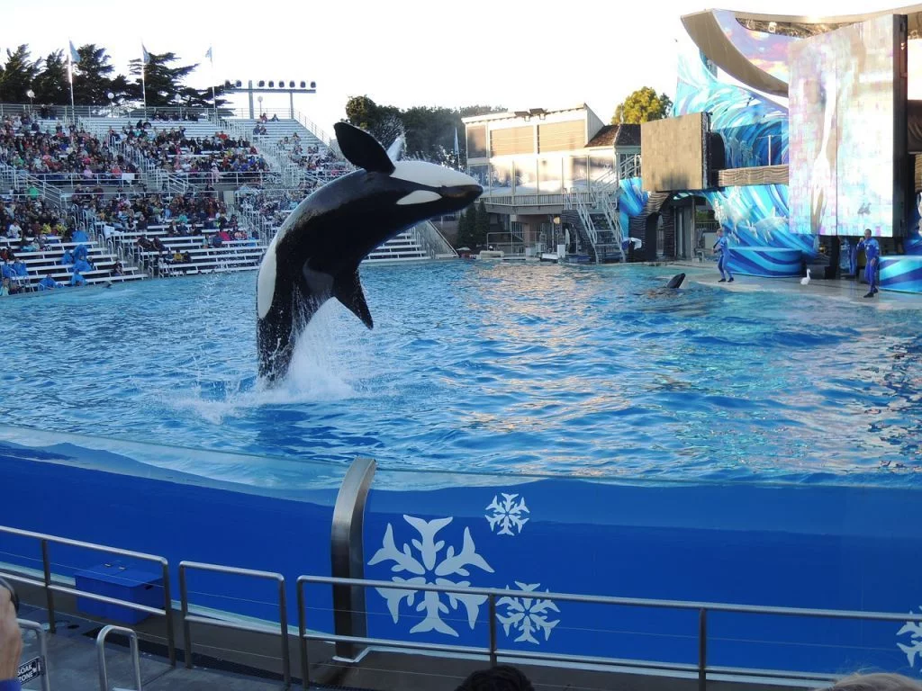 All Seaworld Parks Now Open 2 SeaWorld San Diego