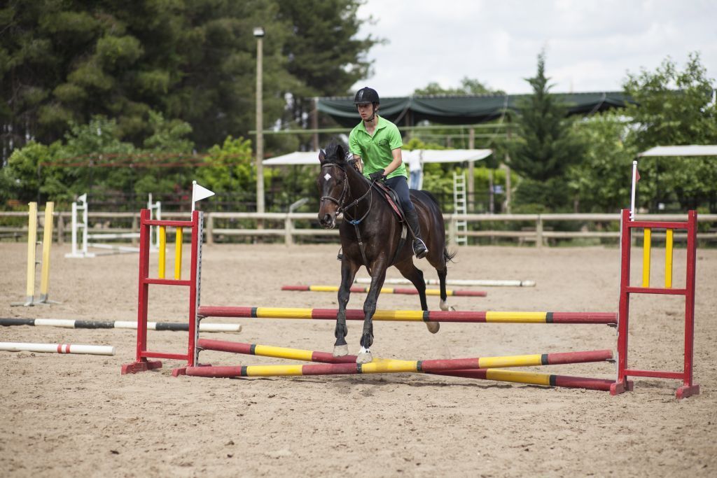 horse show