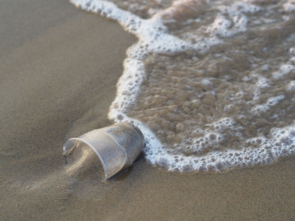 Single-Use Plastic Products in Tourism industry