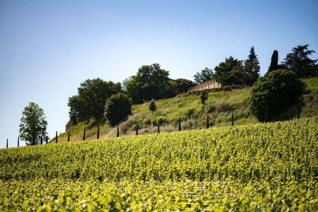 Château Grand-Pontet acquired