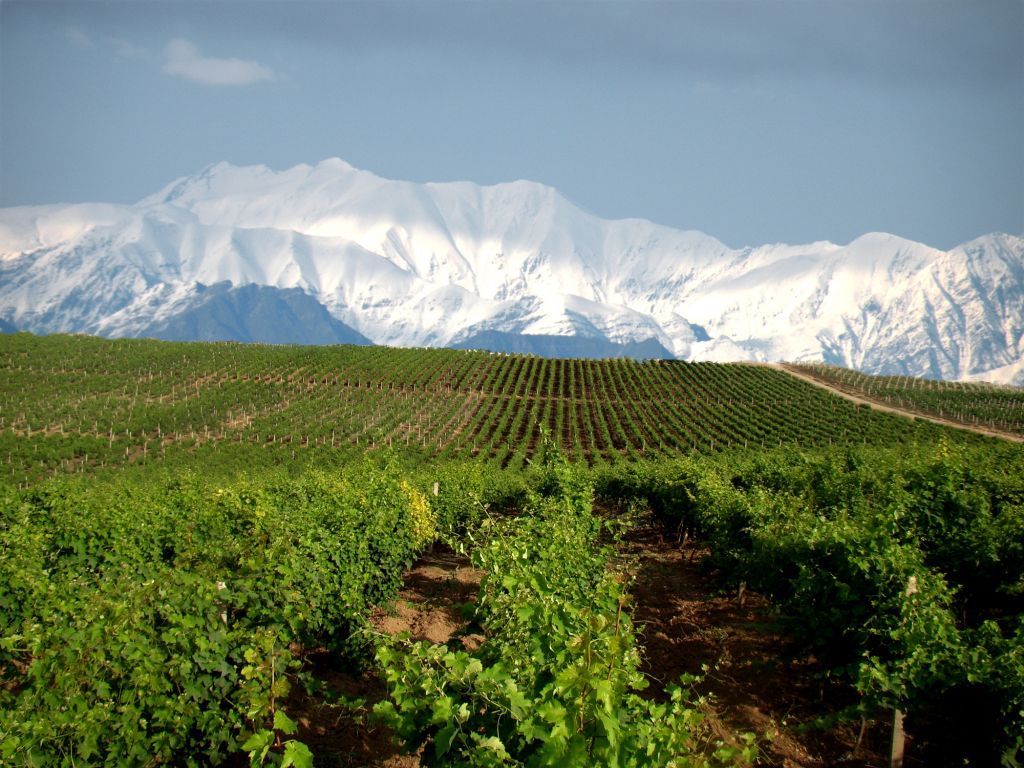 Azerbaijan wine tourism