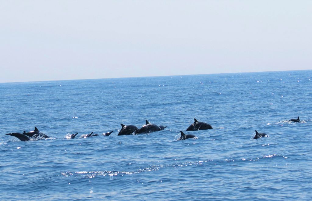 Ecotourism Experiences in Sri Lanka