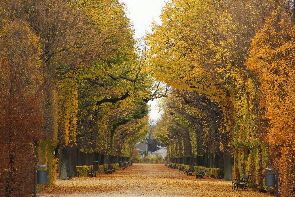 Vienna park