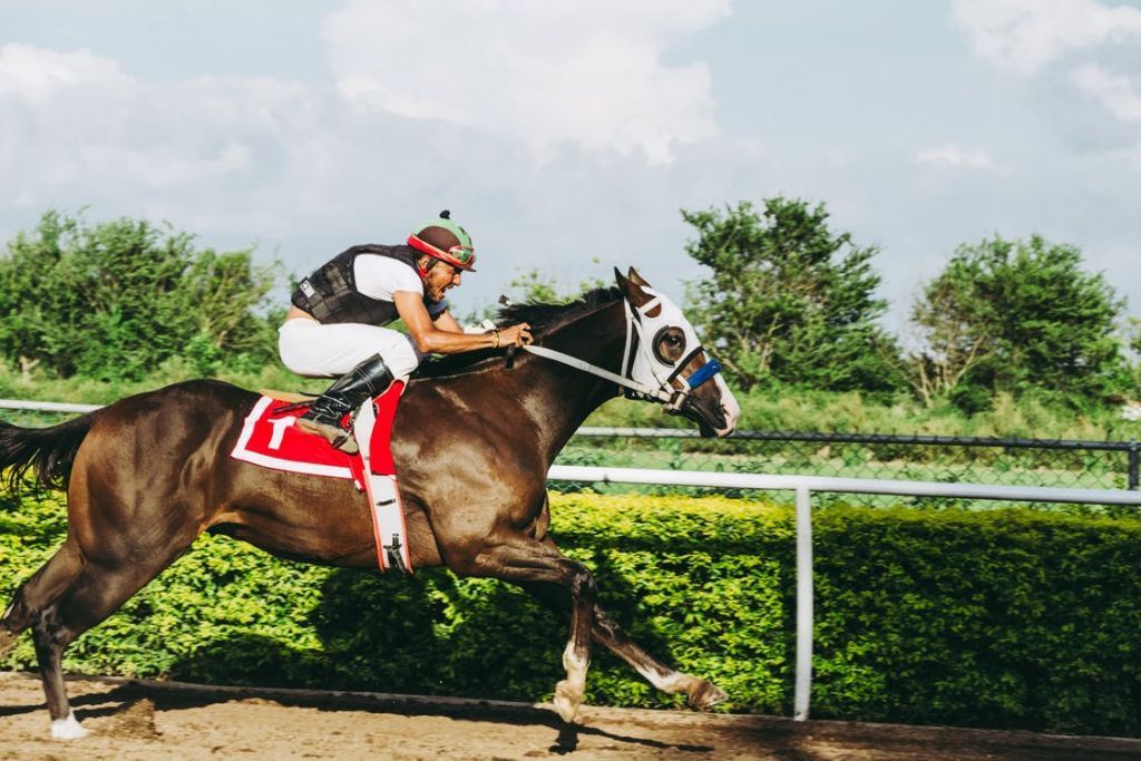 Horse Racing: How To Develop Your Understand Of The Sport Of Kings 2 Horse Racing