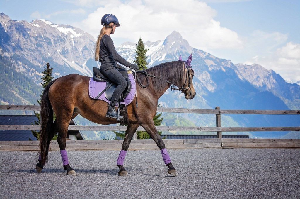 horse riding