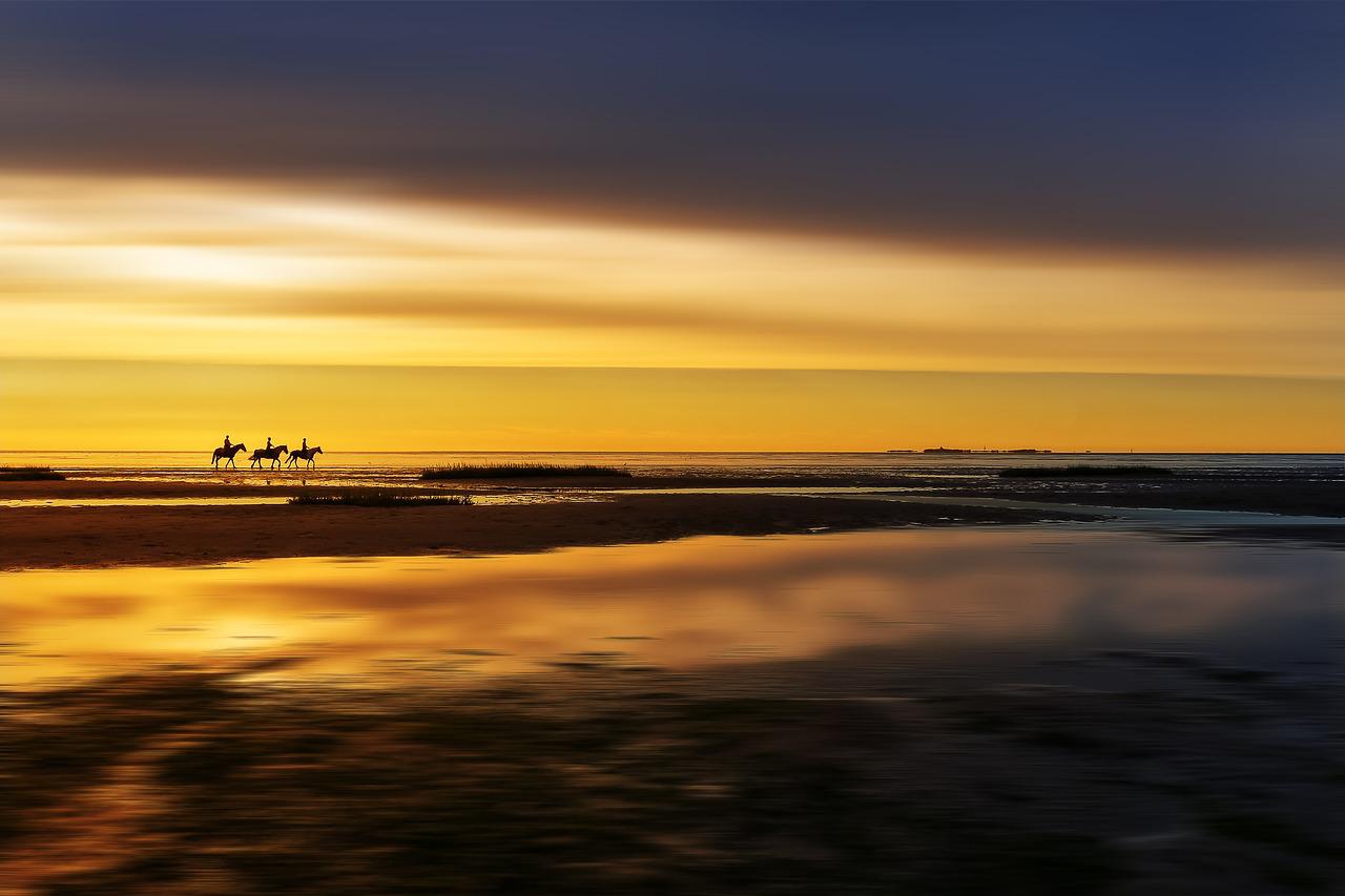 horse riding beach 3659213