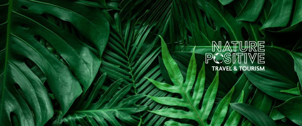 Wttc Collaborates With Unwto And Sustainable Hospitality Alliance At Cop15 4 biodiversity in tourism