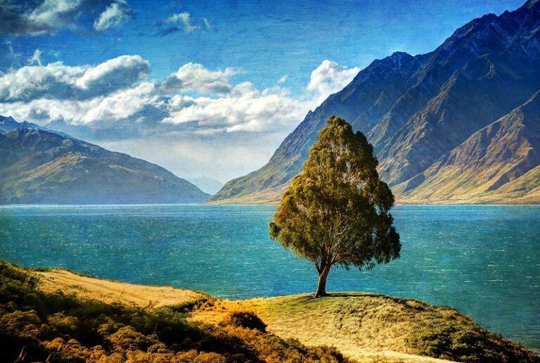 A solitary tree on a grassy hill overlooking a blue lake with mountains in the background in New Zealand.