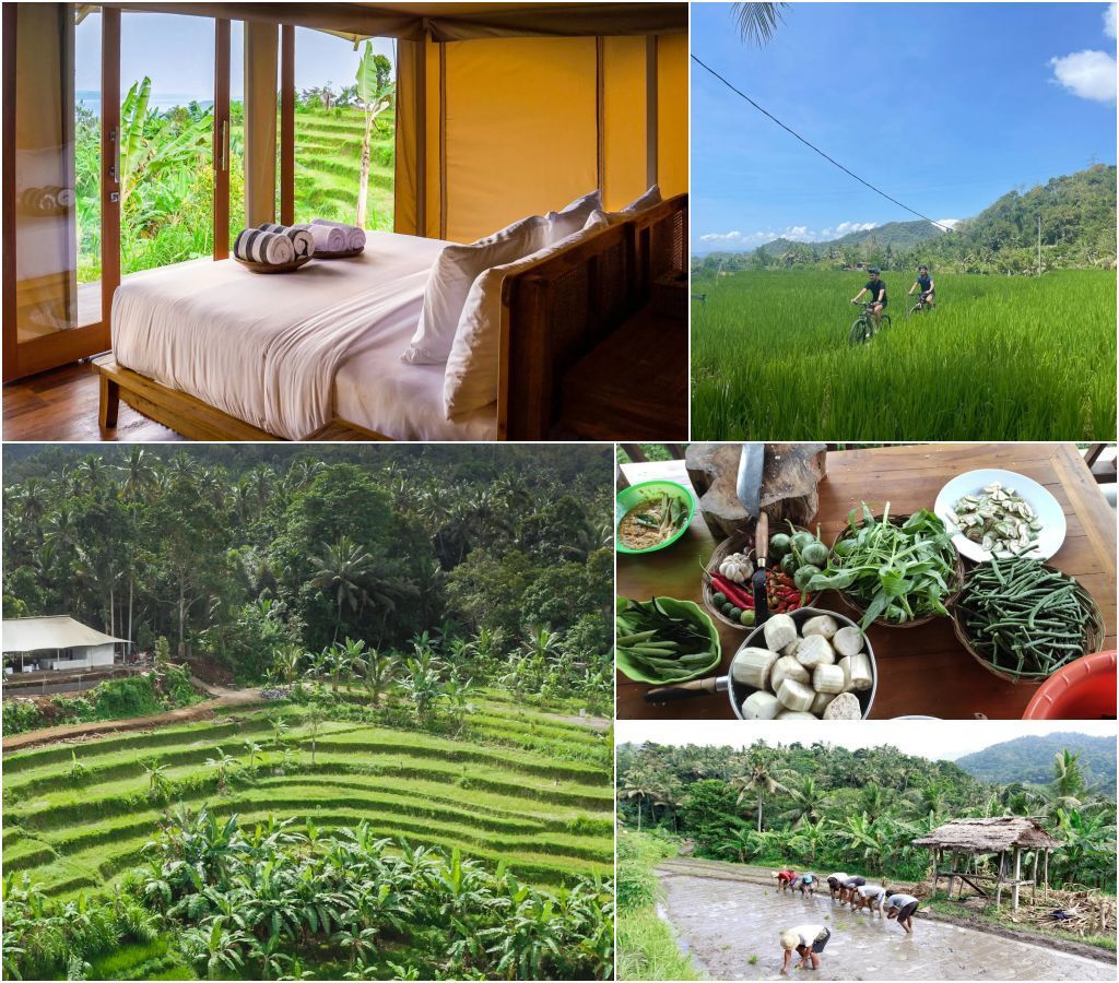 Cross Hotels &Amp; Resorts Launches Kaura Brand 2 Kaura Bali
