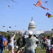 Celebrate National Cherry Blossom Festival In Washington Dc 13 kite festival washingtondc