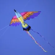 Celebrate National Cherry Blossom Festival In Washington Dc 16 kite wdc610 kite wdc