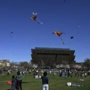 Celebrate National Cherry Blossom Festival In Washington Dc 20 kite wdc627 kite wdc