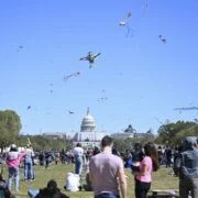 Celebrate National Cherry Blossom Festival In Washington Dc 21 kite wdc631 kite wdc