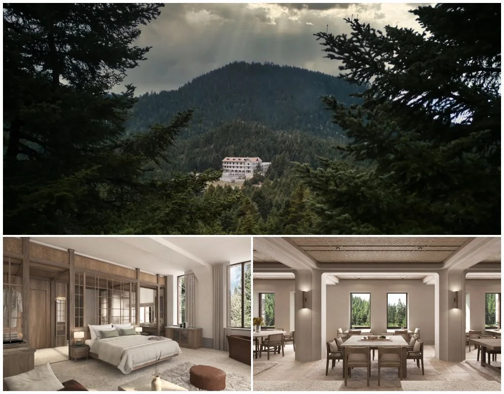 manna arcadia collage