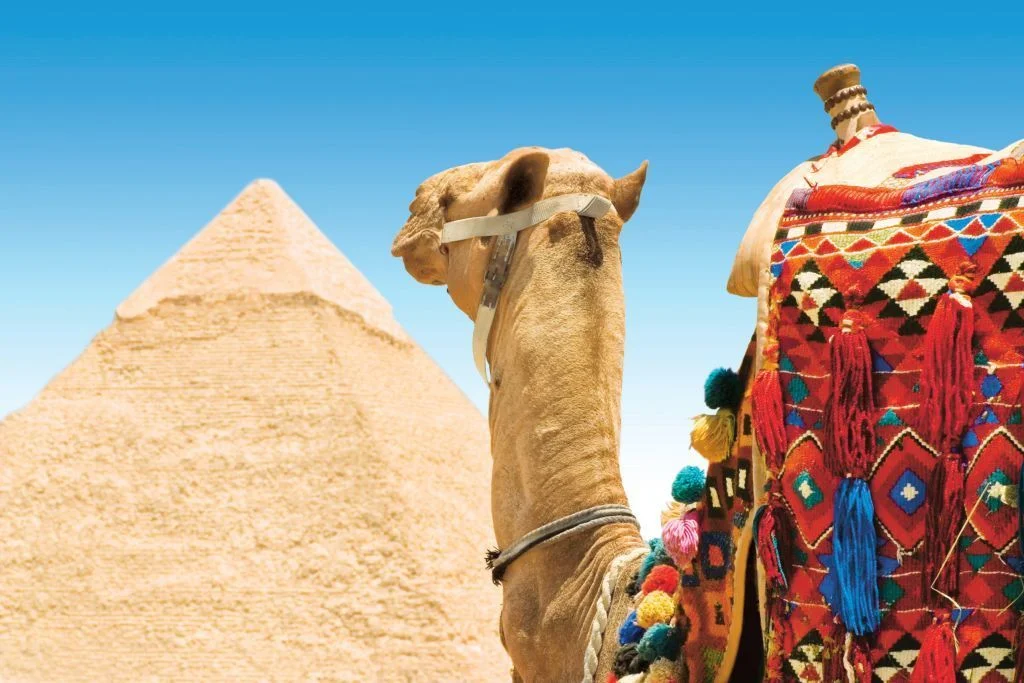 Egypt Introduces Visa On Arrival For Turkish Citizens 2 Egypt