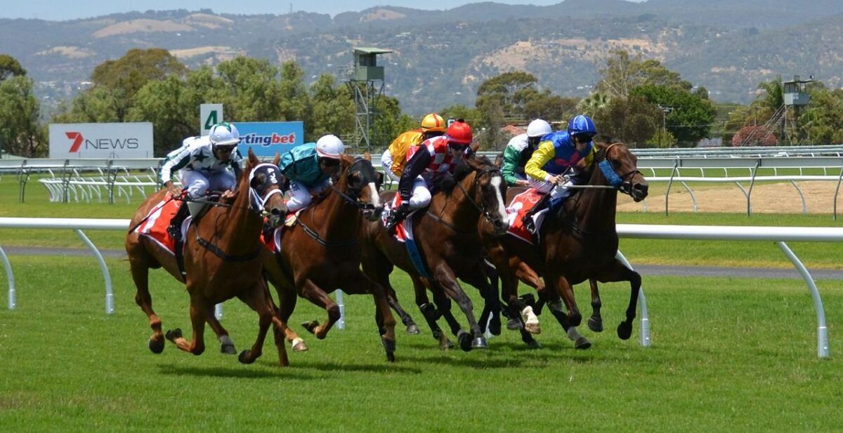 Horse race