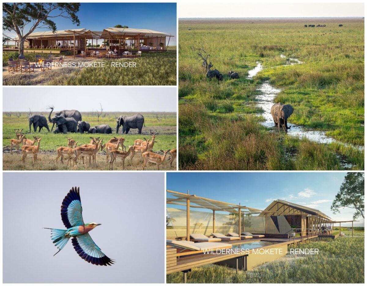 New Camp To Open In Botswana'S Mababe Wilderness Area 2 Wilderness Mokete