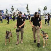 champions festival1183 istanbul