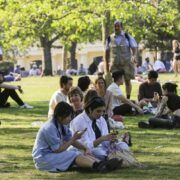 Uk Records Hottest Day Of The Year 3 UK Records Hottest Day of the Year