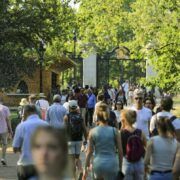 Uk Records Hottest Day Of The Year 8 london hot weather813 parks 1