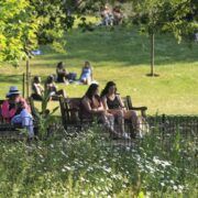 Uk Records Hottest Day Of The Year 9 london hot weather814 parks