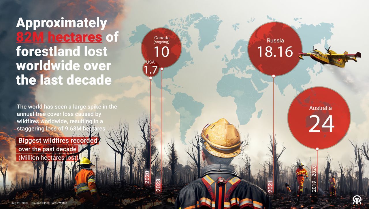 82m Hectares forestland burnt