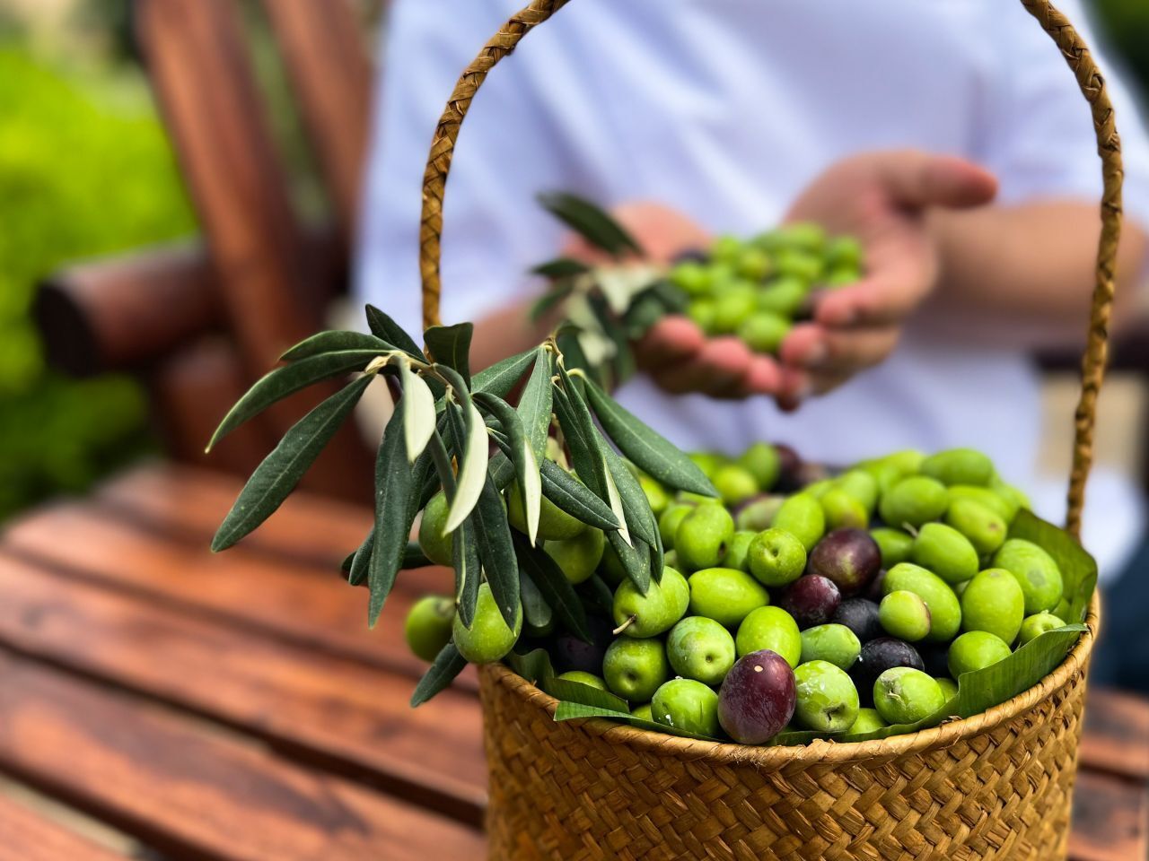 Anantara Olive Festival