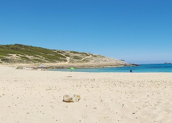 cala torta