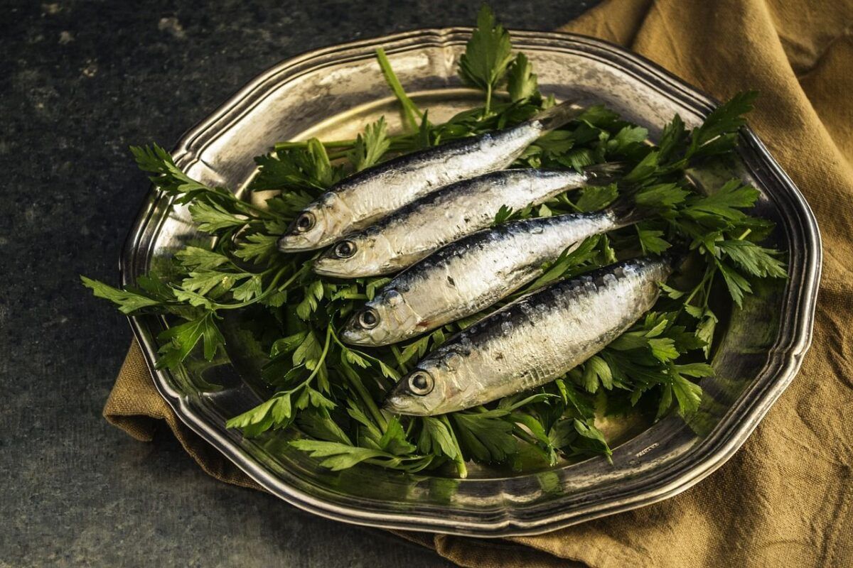 Tragic End To Vacation: Tourists Hospitalized After Consuming Contaminated Fish In France 2 sardines
