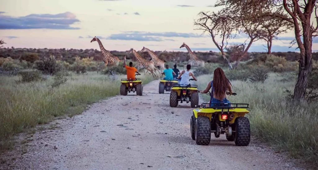 South Africa'S Tourism Sector Witnesses Robust Revival 6 South Africa safari tourism