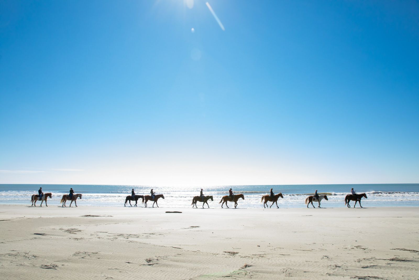 Visit Myrtle Beach Horseback Adventure
