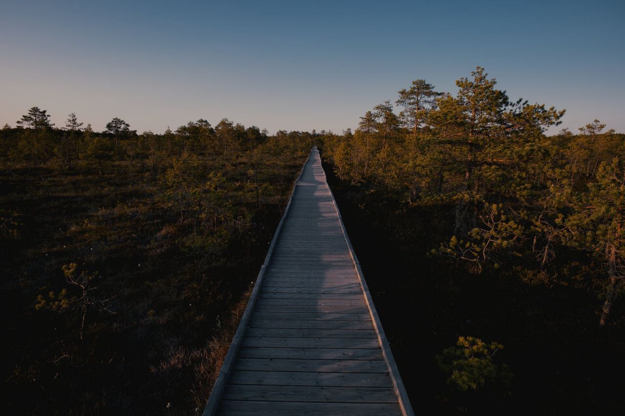 walk in nature in Estonia