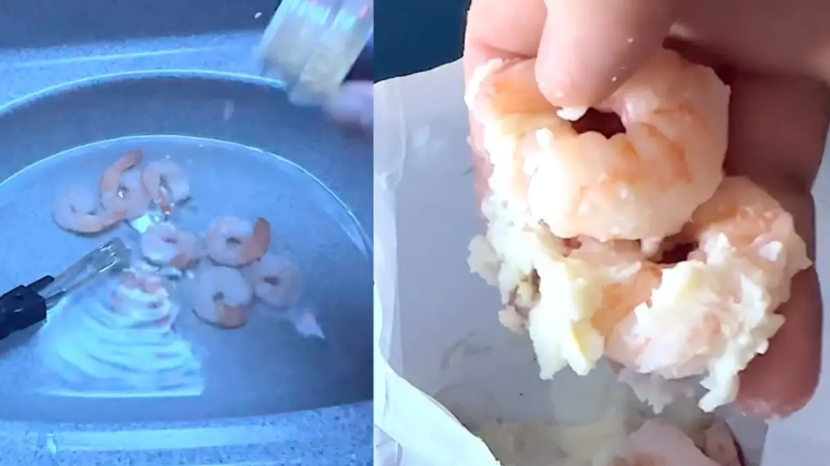 A viral shrimp cooking video in an airplane bathroom