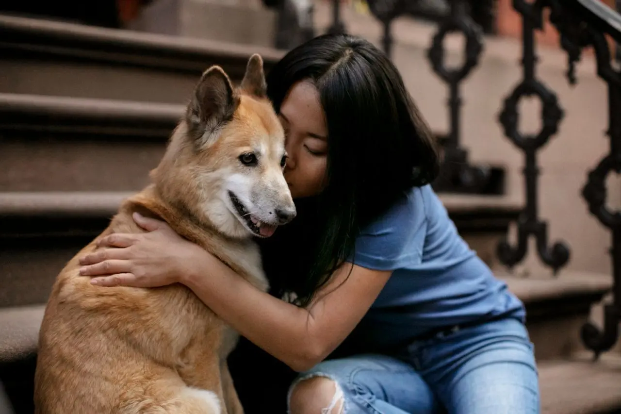 wellbeing thanks to emotional support animal