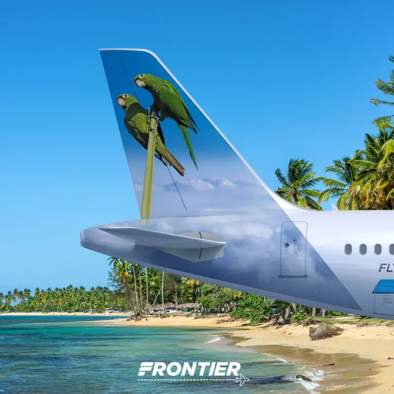 Frontier Airlines Plane Tail Features the Hispaniolan Parakeet in Honor of Destination Partner the Dominican Republic
