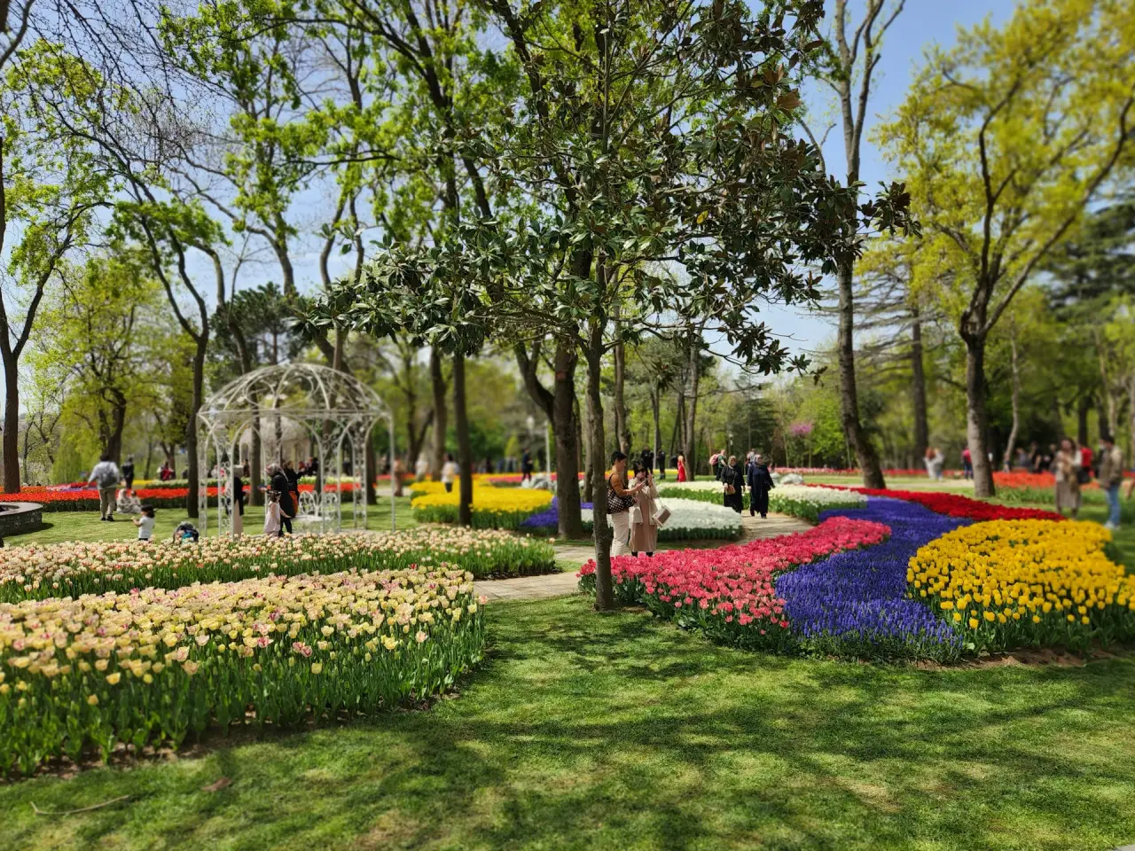 best time to travel to istanbul during spring, tulips and judas trees bloom, emirgan park with flowers