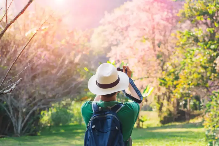 Spring travel destinations, trip ideas