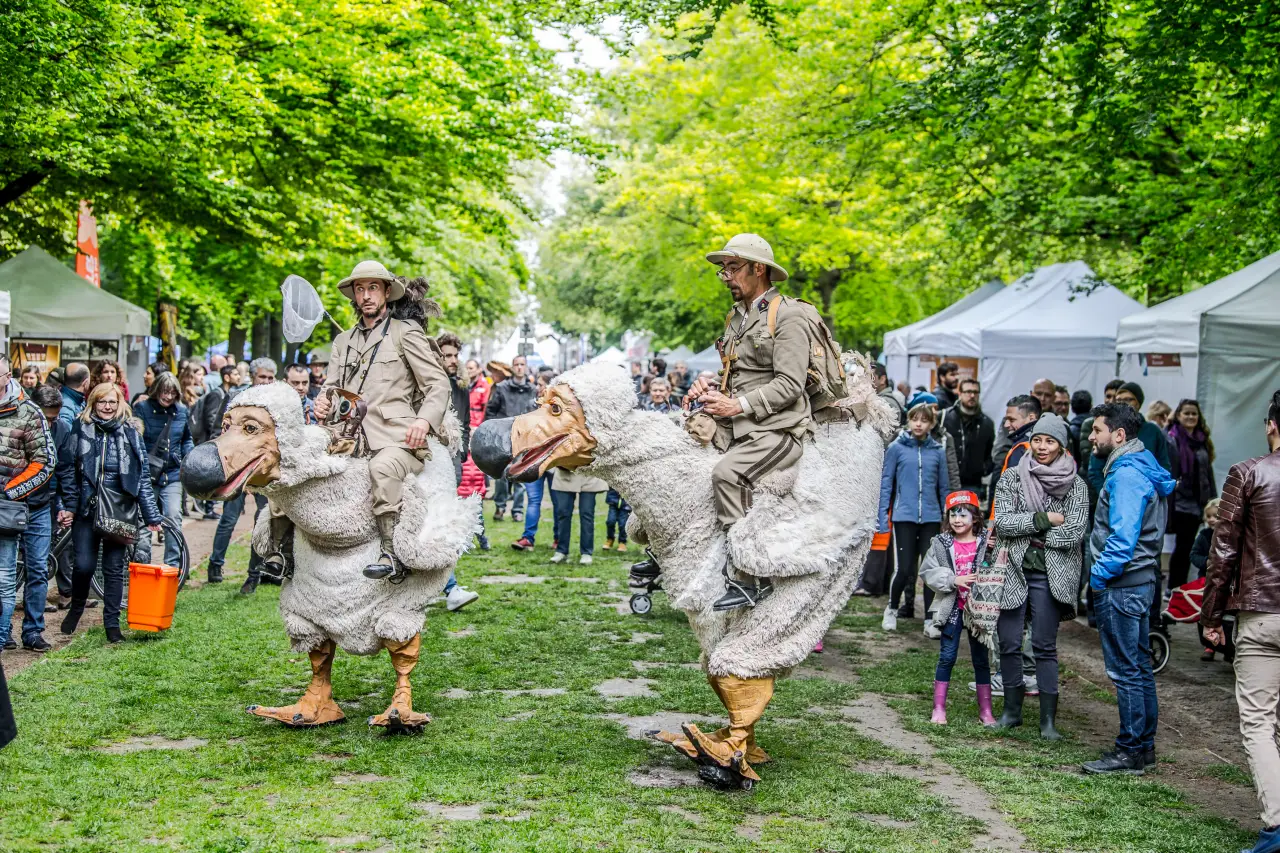 Discover the Magic of Brussels at the 35th Iris Festival
