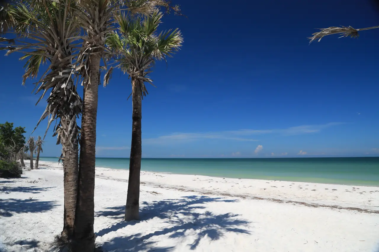 Florida State Parks Shine in Dr. Beach's Top 10 Beaches for 2024 ...