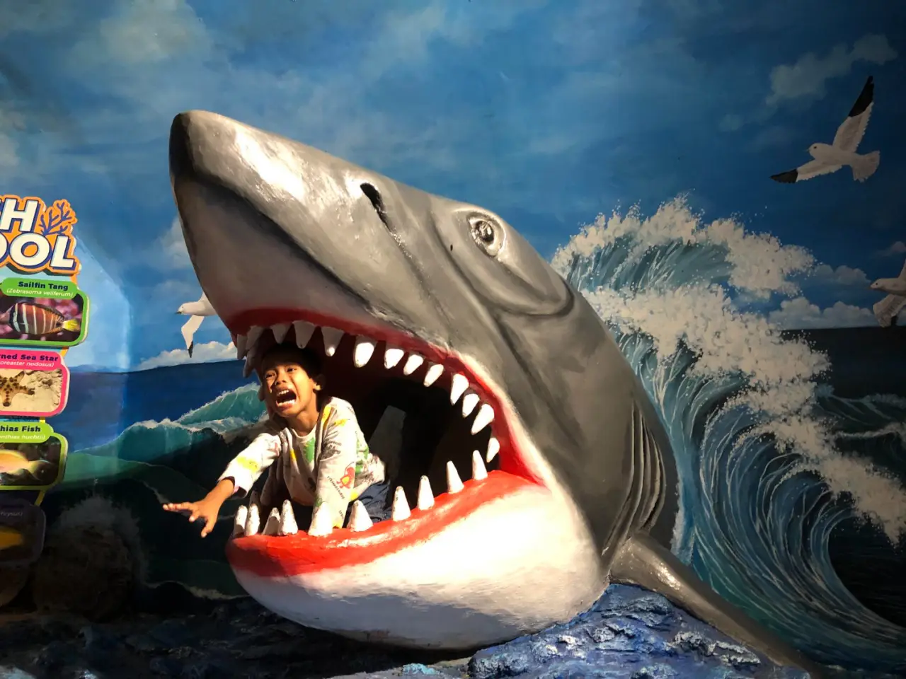 photo in the mouth of a shark
