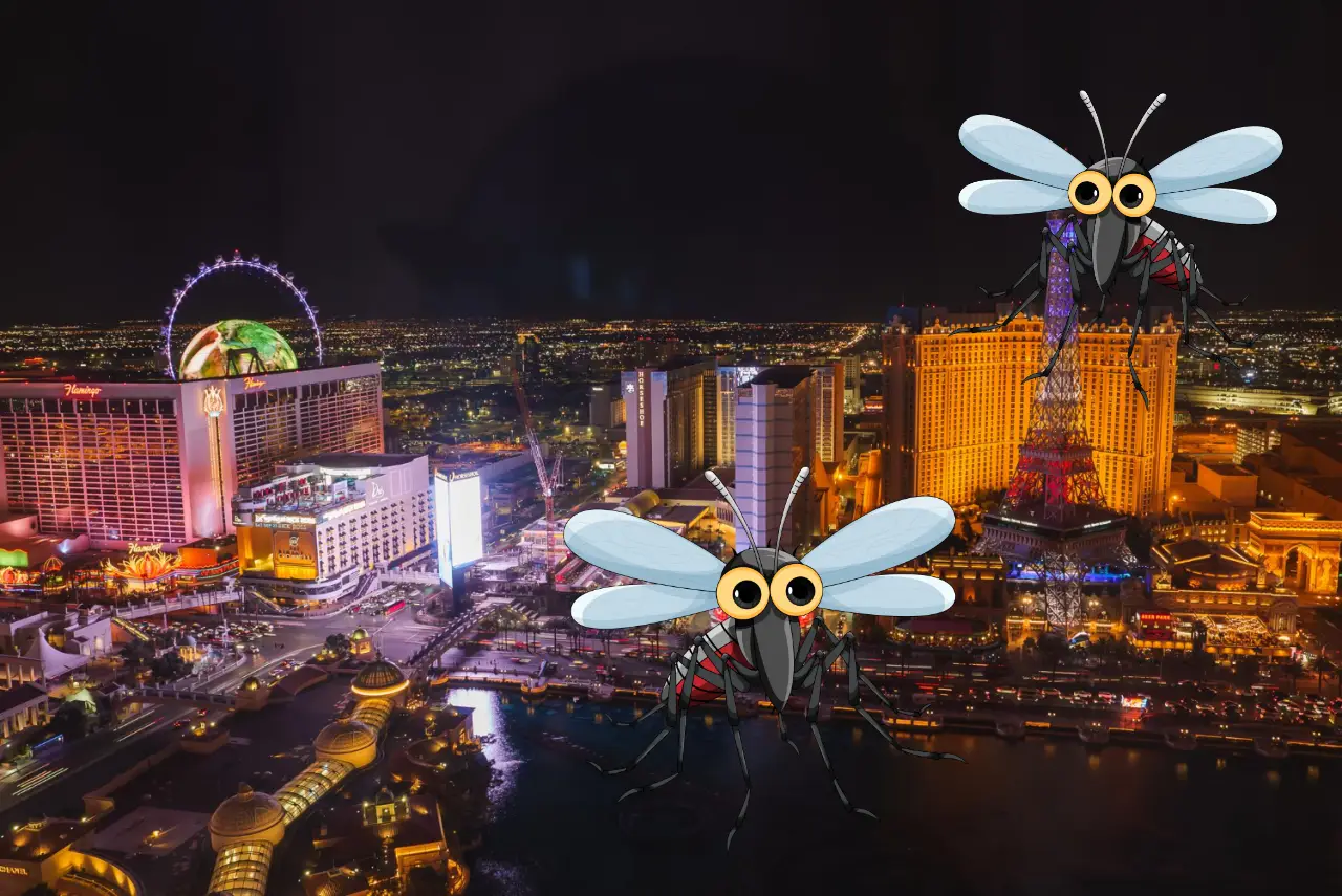 Las Vegas Sees Record Mosquito Activity, High Risk of West Nile Virus ...