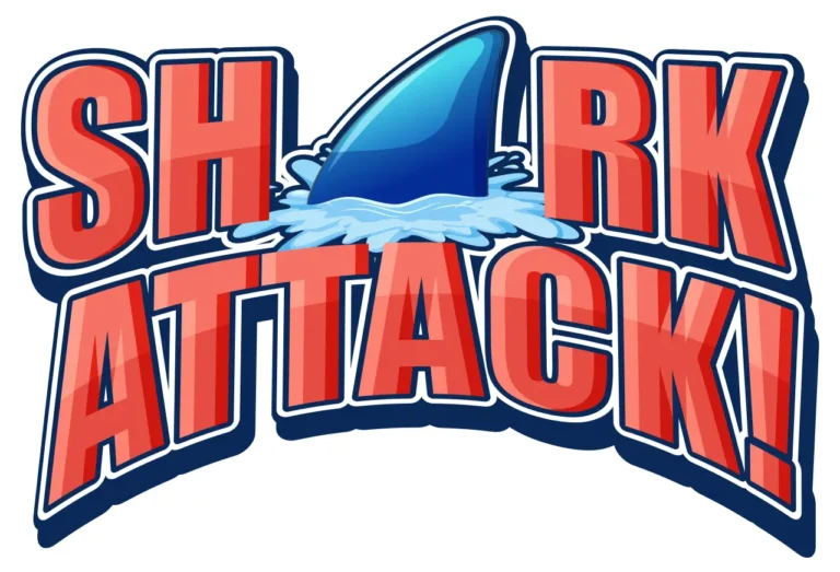 Other News 18 shark attack graphic with shark fin