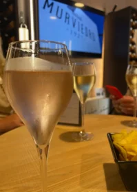 Murviedro wine tasting