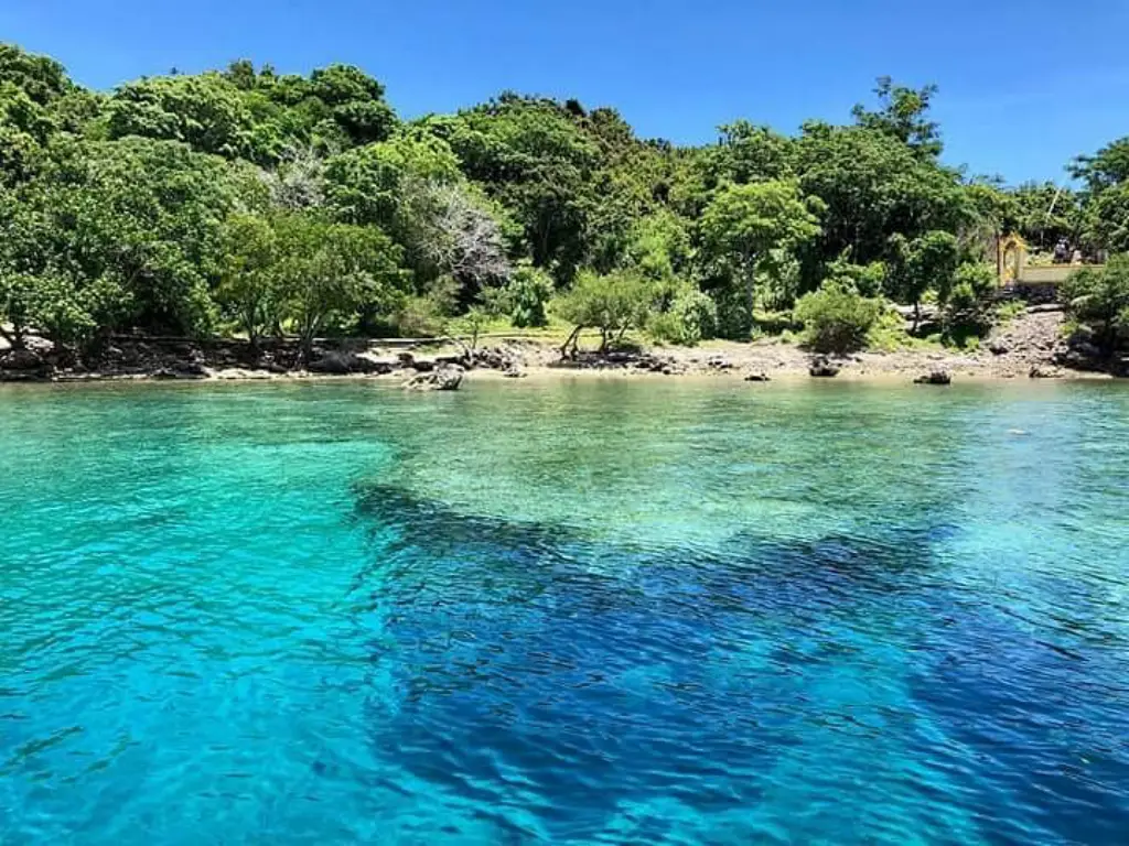 A picturesque tropical shoreline with clear turquoise waters and lush green vegetation in the background under a bright blue sky.