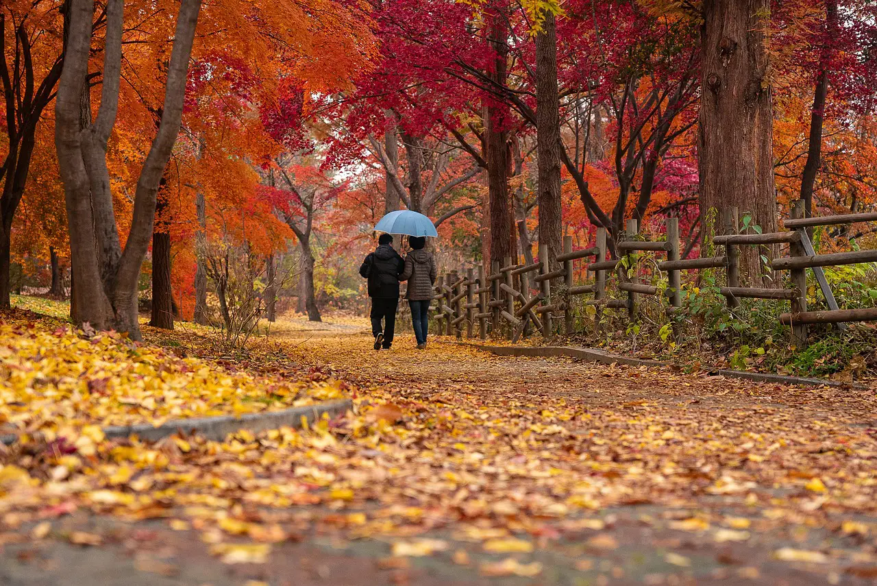 Autumn Couple Walk Fall Destinations