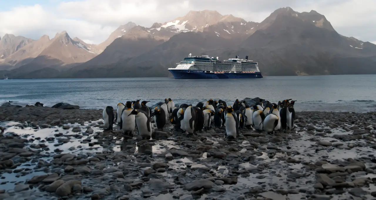 What'S New For Celebrity Cruises In 2026-2027 Season? 2 A group of penguins on a rocky shore with a Celebrity Cruises ship in the background against a mountainous landscape.