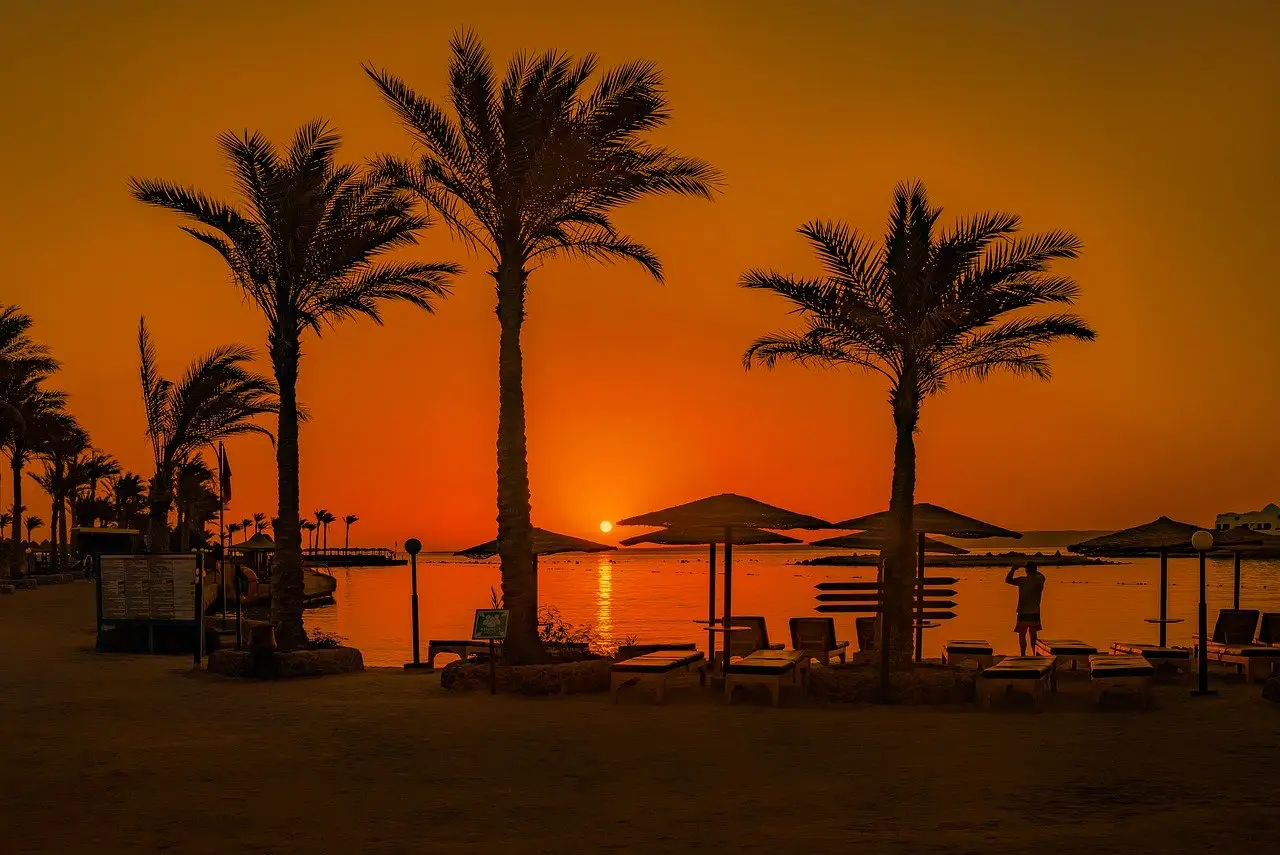 red sea sunset palm trees