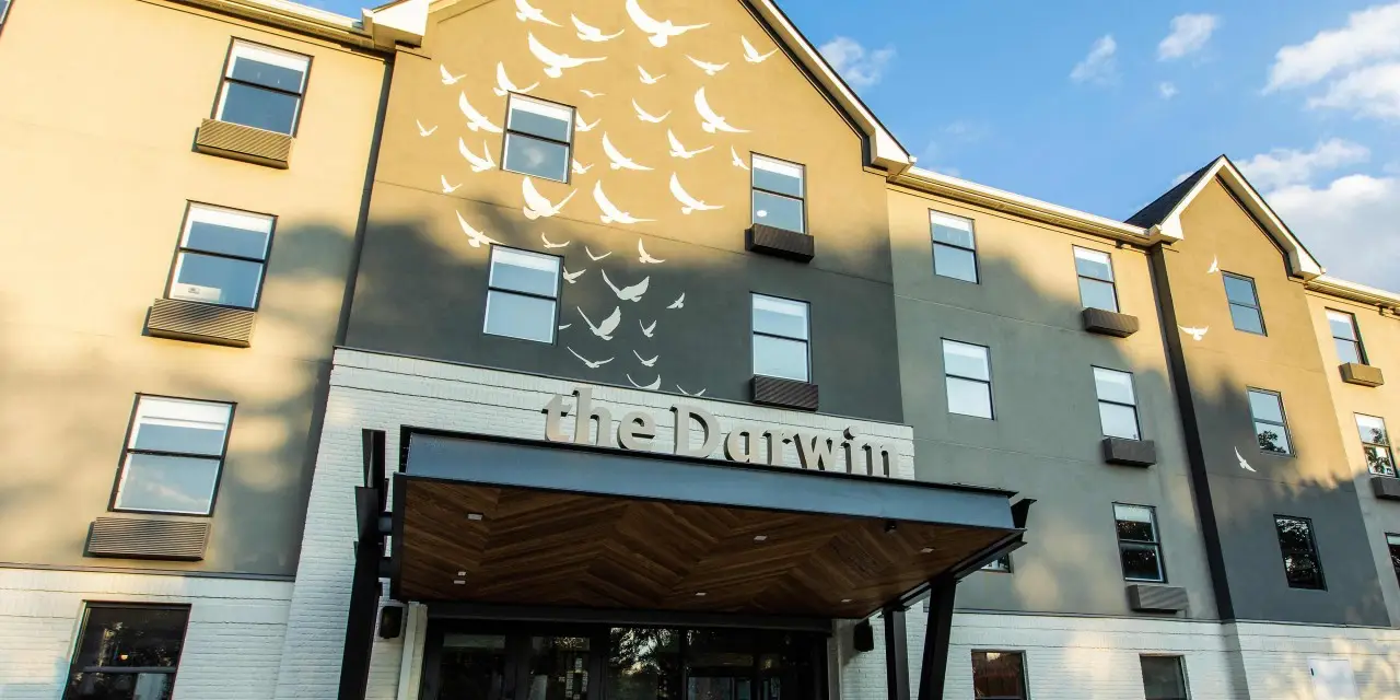 The front view of Voco The Darwin Hotel in Atlanta, featuring a modern facade with decorative white bird artwork and a wooden entrance canopy.