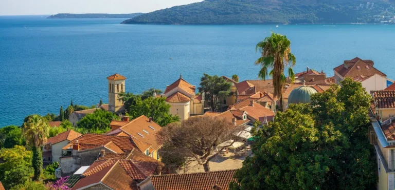 A scenic view of Herceg Novi, Montenegro, showcasing terracotta rooftops, a historic church tower, lush greenery, and the shimmering Adriatic Sea in the background.